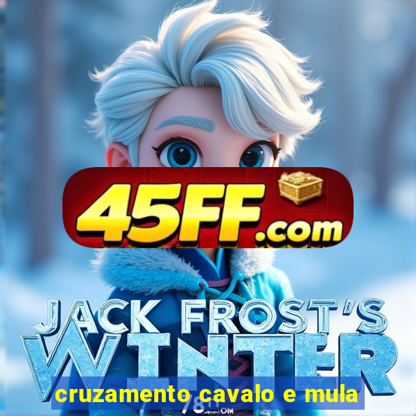 cruzamento cavalo e mula